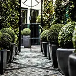 Monsieur George & - Champs-elysees Hotel Paris